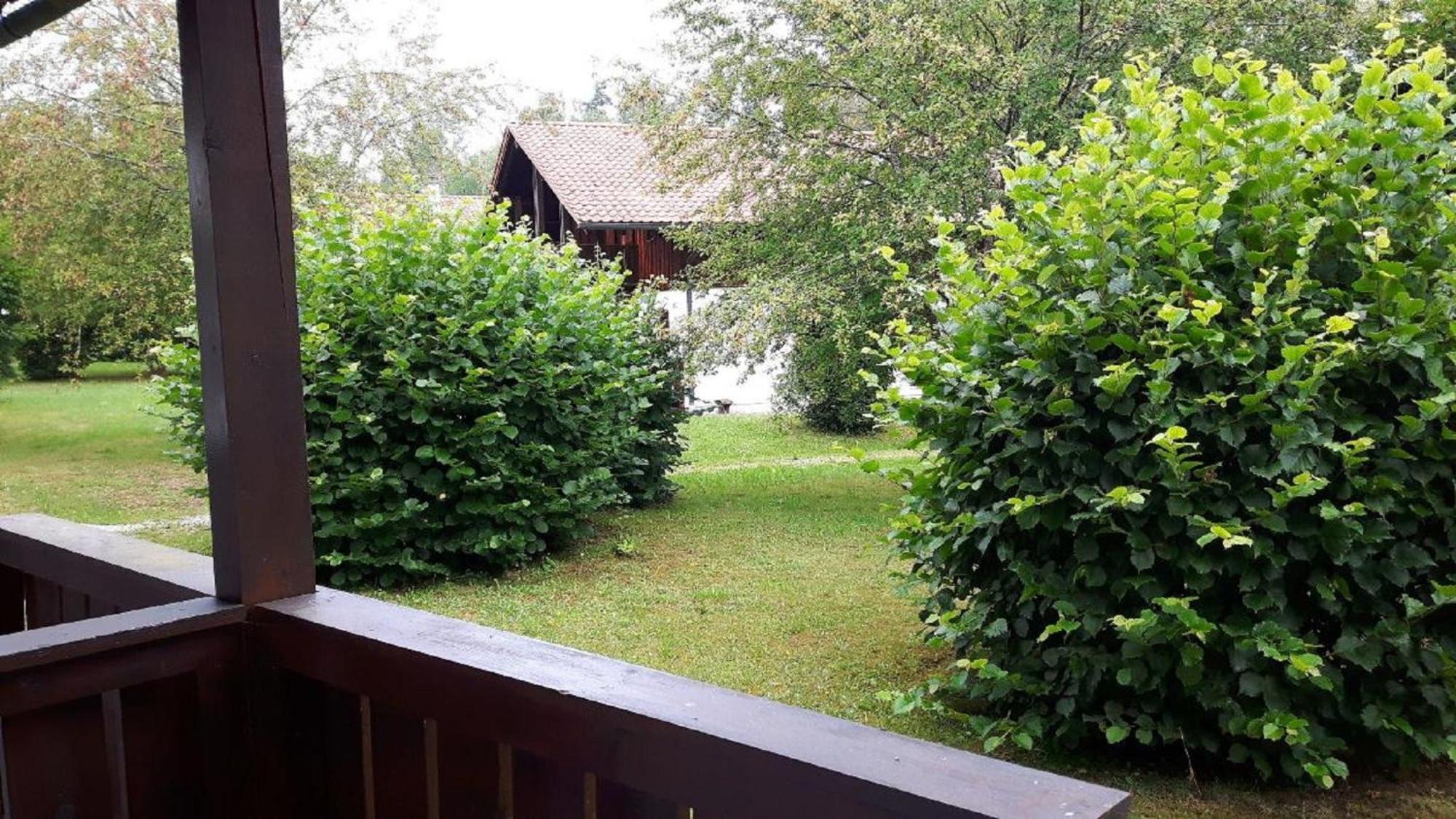Ferienhaus Virzi - Waldferiendorf Regen Exterior photo
