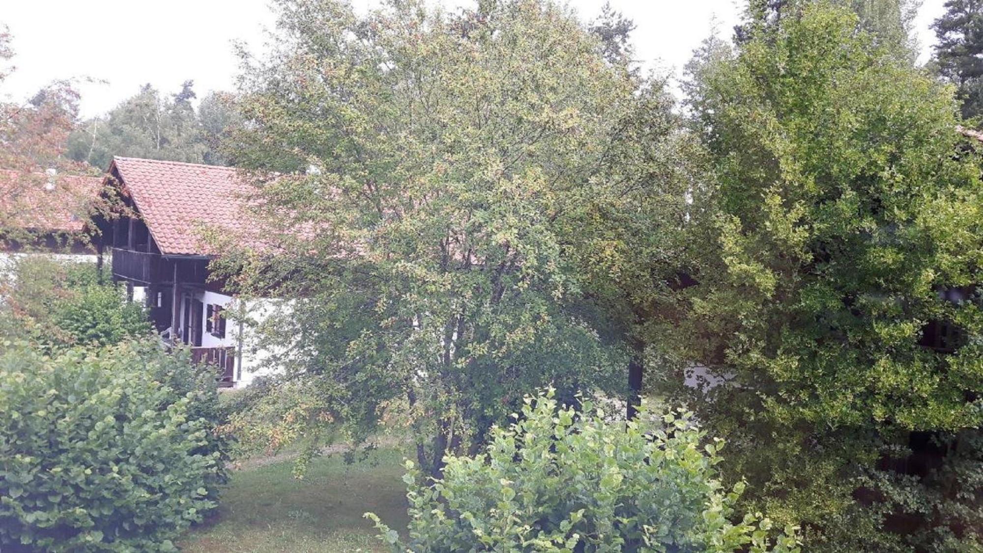 Ferienhaus Virzi - Waldferiendorf Regen Exterior photo